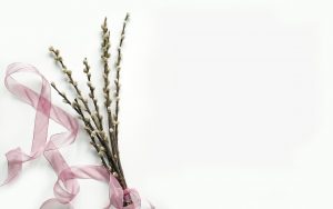 Pussy Willow branches wrapped in pink ribbon for simplicity in Design Trends for 2019.